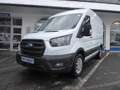 Ford Transit Transit Kasten 330 L2 Trend, Navi, 360° Kam Weiß - thumbnail 1