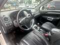 Opel Antara 2.4-16V Temptation Irmscher uitvoering 141 pk youn Blanc - thumbnail 24