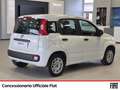 Fiat Panda 1.2 easy easypower gpl 69cv my19 Blanc - thumbnail 5