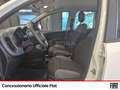 Fiat Panda 1.2 easy easypower gpl 69cv my19 Blanc - thumbnail 7
