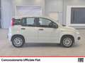 Fiat Panda 1.2 easy easypower gpl 69cv my19 Blanc - thumbnail 4