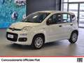 Fiat Panda 1.2 easy easypower gpl 69cv my19 Blanc - thumbnail 1