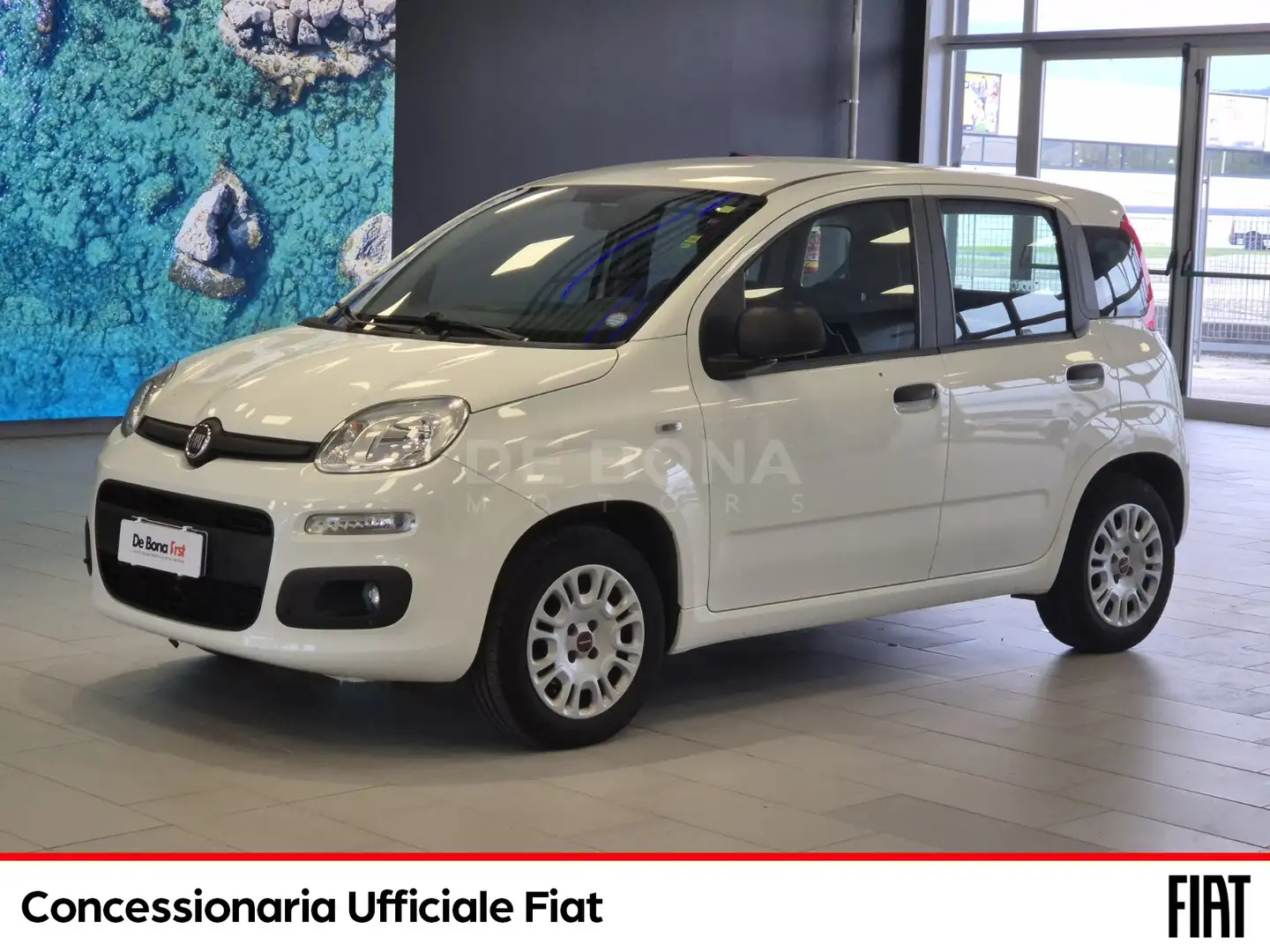 Fiat Panda 1.2 easy easypower gpl 69cv my19 Blanc - 1