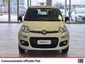 Fiat Panda 1.2 easy easypower gpl 69cv my19 Blanc - thumbnail 6