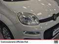 Fiat Panda 1.2 easy easypower gpl 69cv my19 Blanc - thumbnail 15