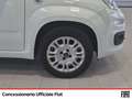 Fiat Panda 1.2 easy easypower gpl 69cv my19 Blanc - thumbnail 14