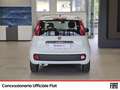 Fiat Panda 1.2 easy easypower gpl 69cv my19 Blanc - thumbnail 3