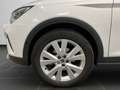 SEAT Arona Xperience 1.0 TSI DSG Navi SHZ RFK PDC Weiß - thumbnail 8