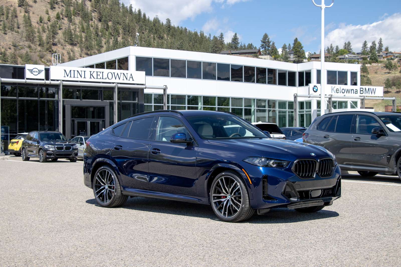 2026 BMW X6