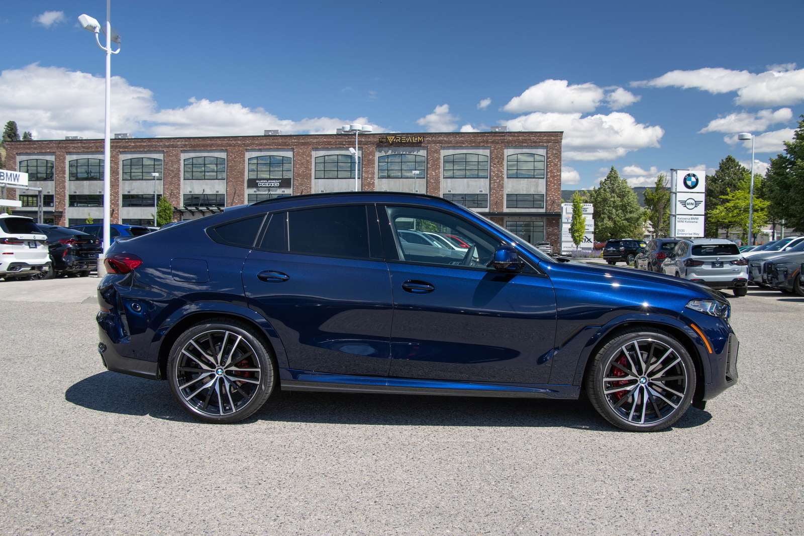 2026 BMW X6