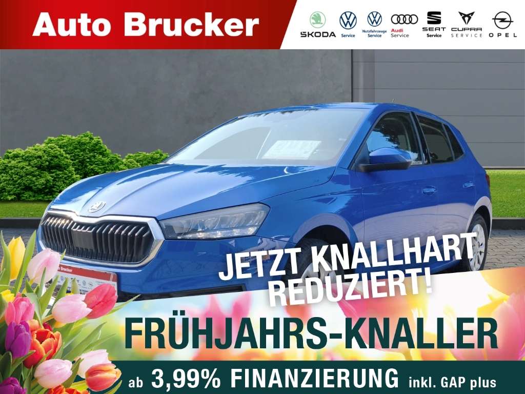 Brugt Škoda Fabia 1.0