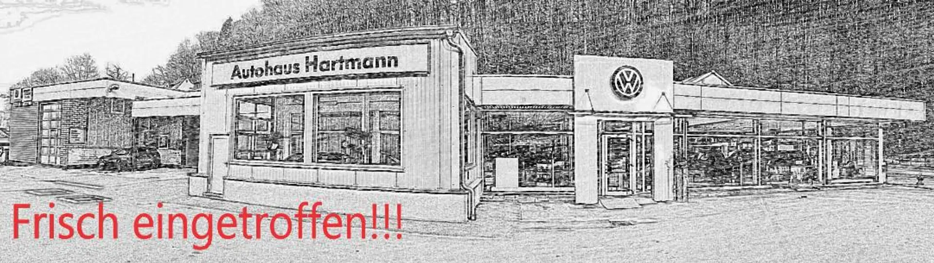 Volkswagen Golf Sportsvan Comfortline 1,6TDI RFK Navi Sitzh Klima Grau - 1