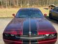 Dodge Challenger 3,5 ltr V6 Special Paint Rood - thumbnail 3