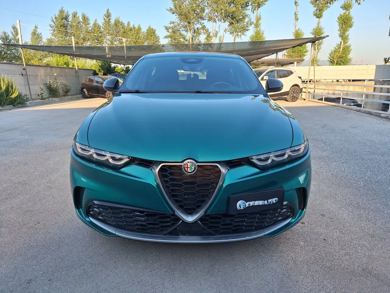 Alfa Romeo Tonale 2024