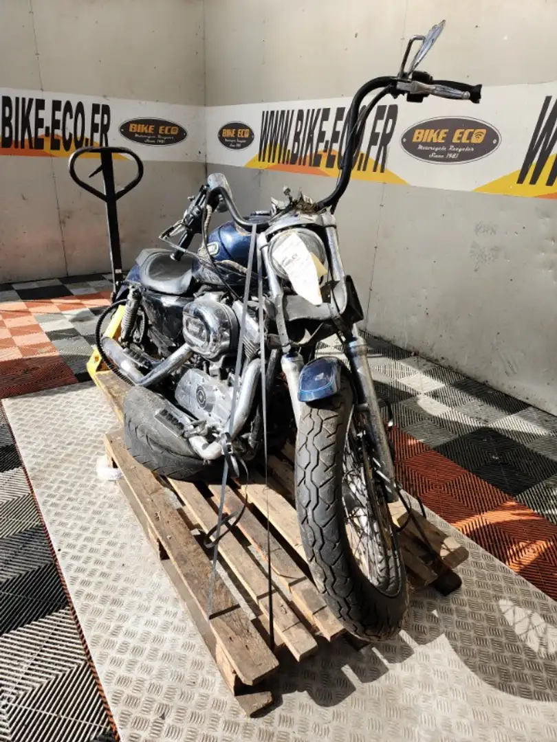 Harley-Davidson Sportster 1200 Bleu - 2