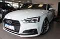Audi A5 Sportback 40 g-tron Sport S-Line Plus/19LM Blanco - thumbnail 21