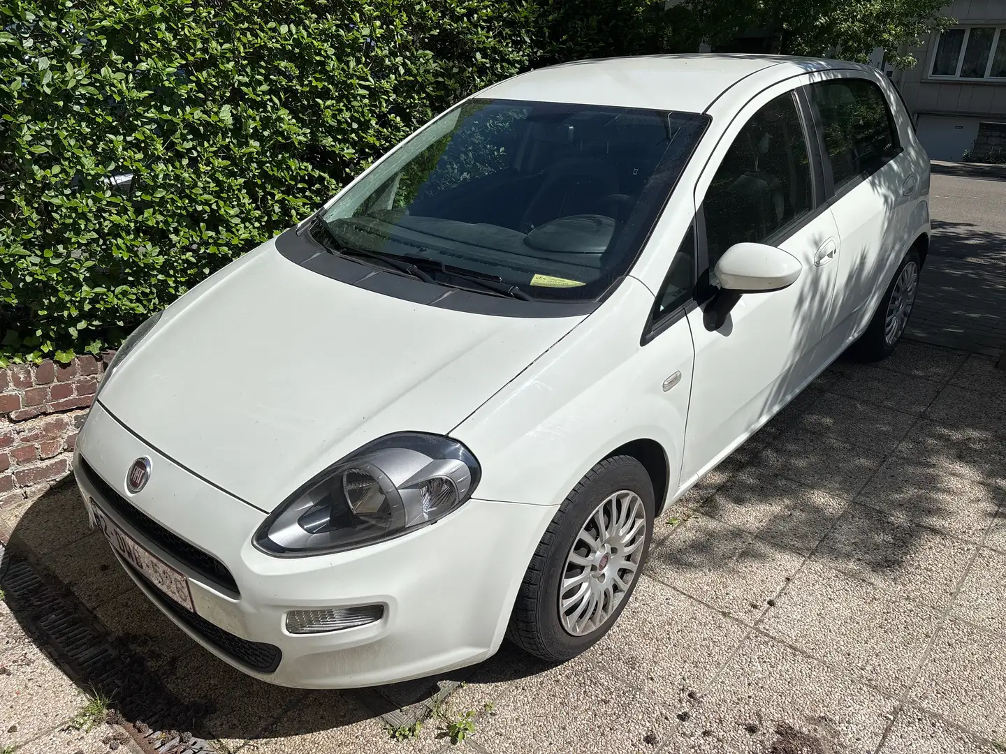 Fiat Punto Punto 1.2i Pop Blanc - 1