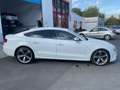 Audi A5 Sportback 3.0 TDI quattro S-Line Blanc - thumbnail 4