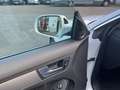 Audi A5 Sportback 3.0 TDI quattro S-Line Blanc - thumbnail 14
