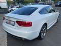 Audi A5 Sportback 3.0 TDI quattro S-Line Blanc - thumbnail 5