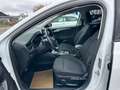 Ford Focus Turnier Active / Kamera / LED / SHZ / NAVI Blanc - thumbnail 16