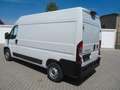 Fiat Ducato 35 L2H2 MAXI  140,  Innenausbau etc. Weiß - thumbnail 4