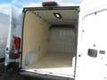 Fiat Ducato 35 L2H2 MAXI  140,  Innenausbau etc. Weiß - thumbnail 14