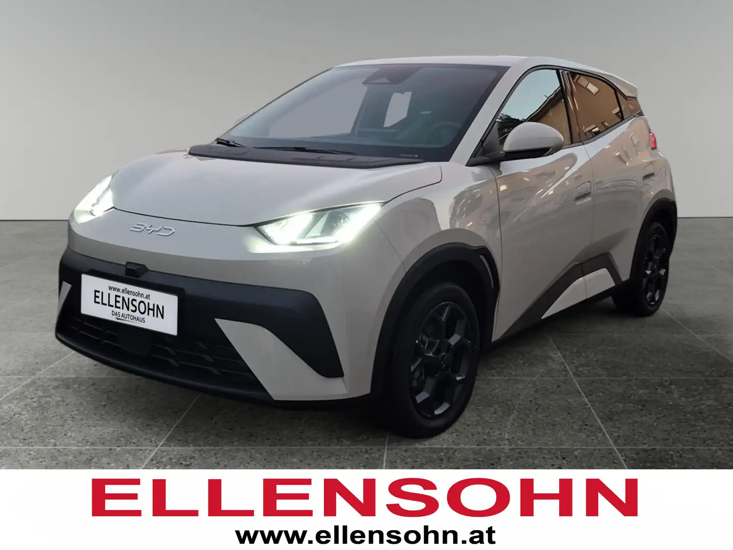 BYD Dolphin Surf Comfort Weiß - 1