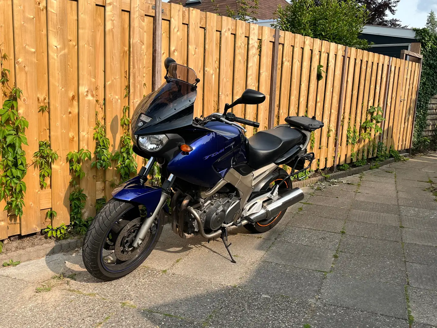 Yamaha TDM 900 Bleu - 1