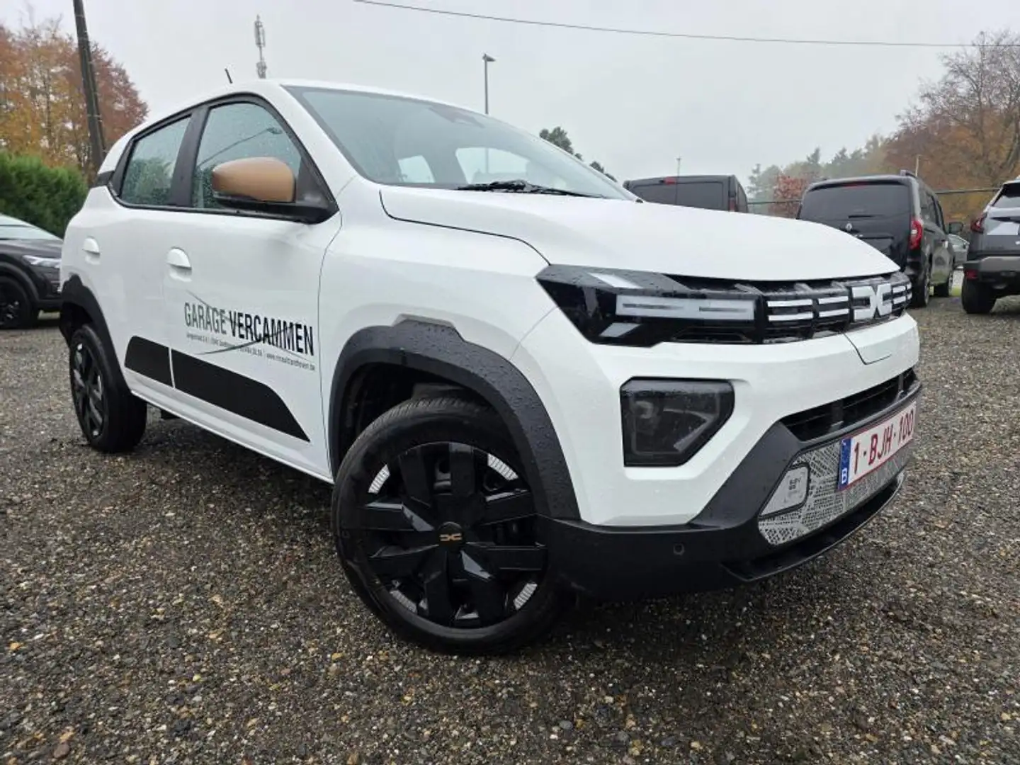 Dacia Spring Extreme Argent - 1