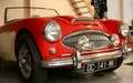 Austin-Healey 3000 Austin-Healey Mk2 1962 – 14 500 KM Rot - thumbnail 2