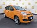 Fiat Panda 1.2 Easy Arancione - thumbnail 8
