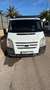 Ford Transit FT 350EL Chasis Cabina Simple 125 AWD Blanco - thumbnail 4