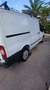 Ford Transit FT 350EL Chasis Cabina Simple 125 AWD Blanco - thumbnail 16