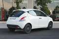 Lancia Ypsilon Ypsilon III 2015 1.2 Elefantino Blu Blanc - thumbnail 5