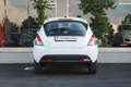 Lancia Ypsilon Ypsilon III 2015 1.2 Elefantino Blu Blanc - thumbnail 4