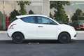 Lancia Ypsilon Ypsilon III 2015 1.2 Elefantino Blu Blanc - thumbnail 6