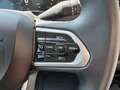 Fiat Ducato Serie 2 Maxi 35 L4H3 180 M-Jet AT | Heck... Grijs - thumbnail 14
