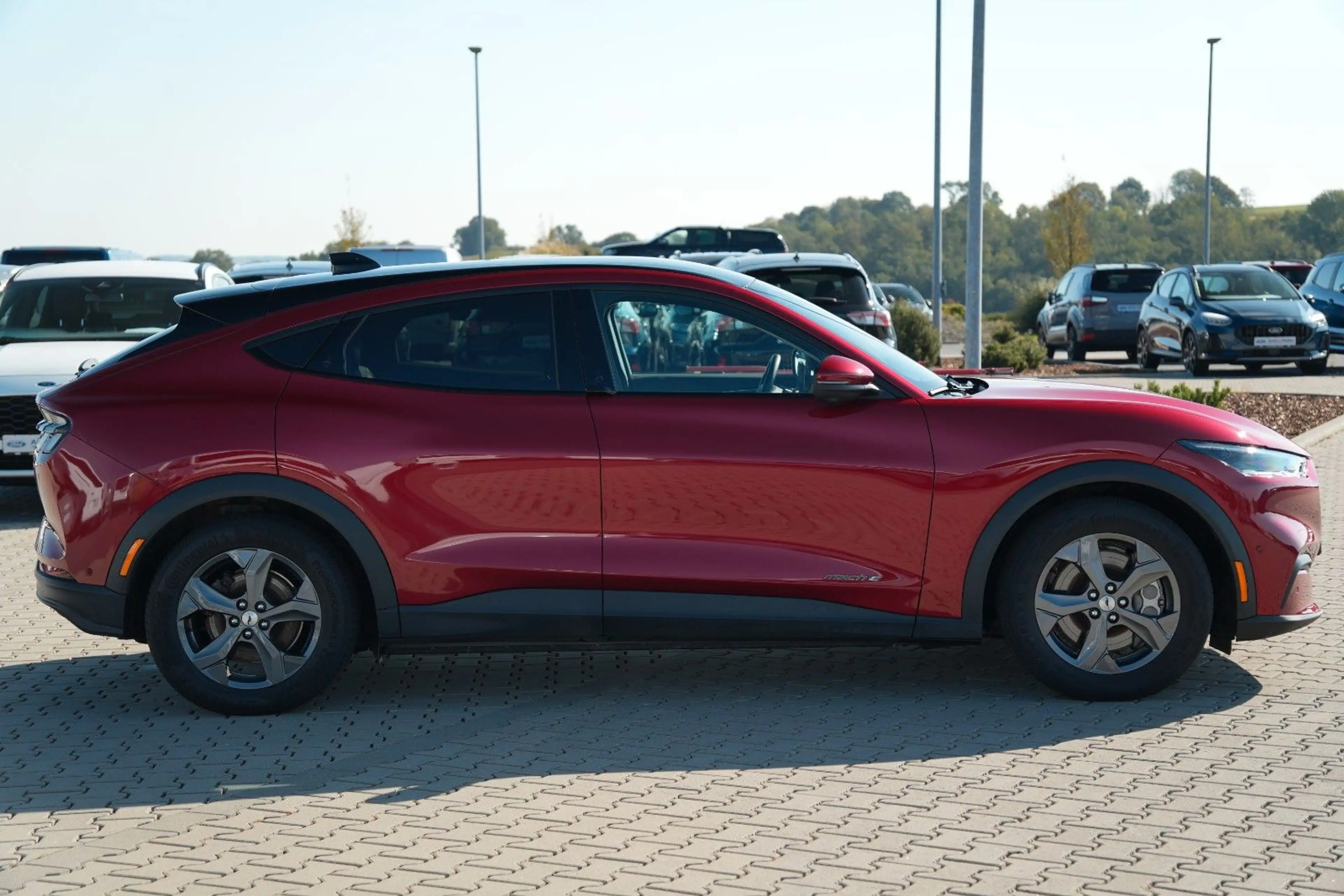 Ford Mustang Mach-E Basis PANO LED ACC 1.Hand ! — photo 10