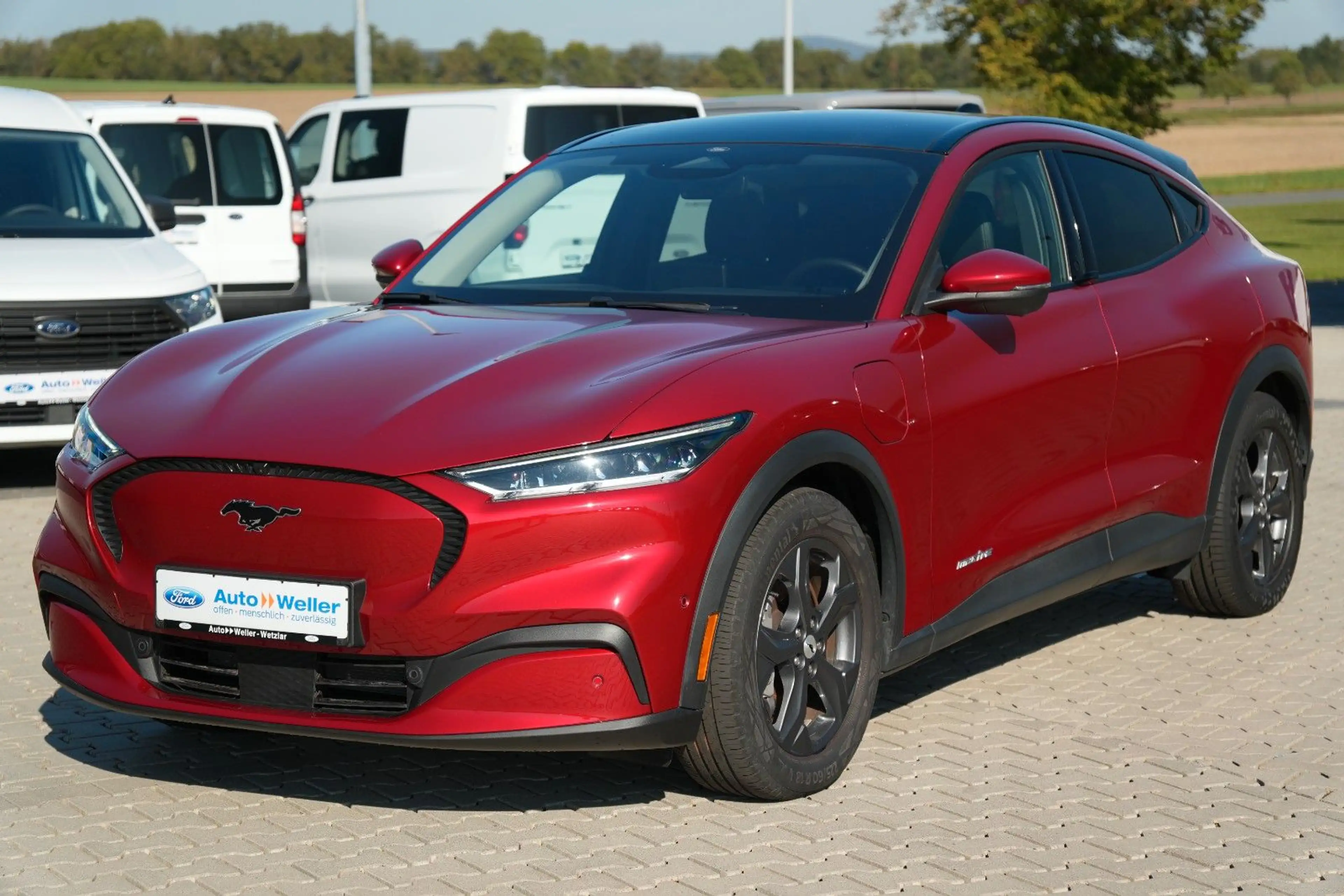 Ford Mustang Mach-E Basis PANO LED ACC 1.Hand ! — photo 3