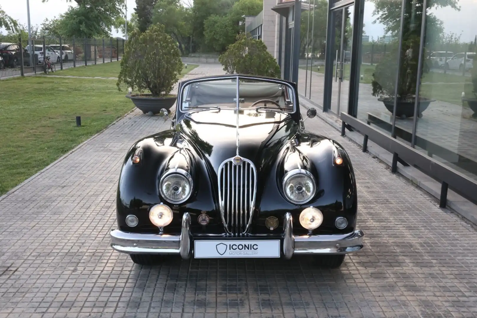 Jaguar Sonstige XK 140 DHC Blau - 2