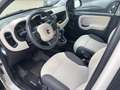Fiat Panda 0.9 TwinAir Lounge / Automaat / Bruin - thumbnail 2
