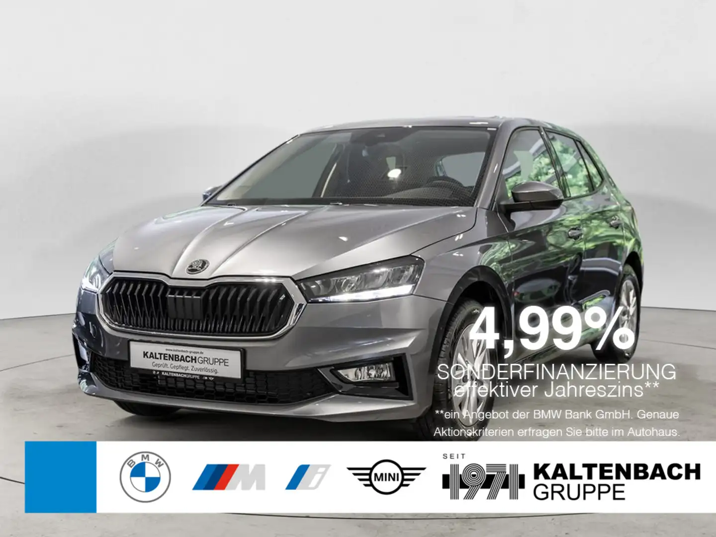 Skoda Fabia 1.0 MPI Selection SmartLink LED SHZ PDC Grijs - 1