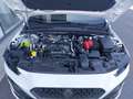 Renault Clio Evolution TCe 115 Weiß - thumbnail 20