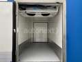 Iveco Daily Maxi *ThermoKing V500* TIEFLÜHLER -32° Blau - thumbnail 21