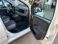 Fiat Panda 1.0 70CV HYBRID VAN2 POSTI AUTOCARRO SOLO 18000 KM Blanco - thumbnail 11