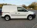 Volkswagen Caddy 1.6TDI Kasten/Kombi Economy TEILLEDER-MWST Blanco - thumbnail 3