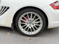 Porsche Cayman Cayman S 3.4i - 295 Weiß - thumbnail 46