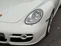 Porsche Cayman Cayman S 3.4i - 295 Weiß - thumbnail 37