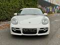 Porsche Cayman Cayman S 3.4i - 295 Weiß - thumbnail 6